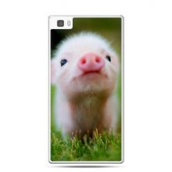 Huawei P8 Lite etui świnka