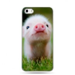 iPhone 5 , 5s etui na telefon świnka