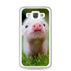 Etui na Galaxy A5 świnka